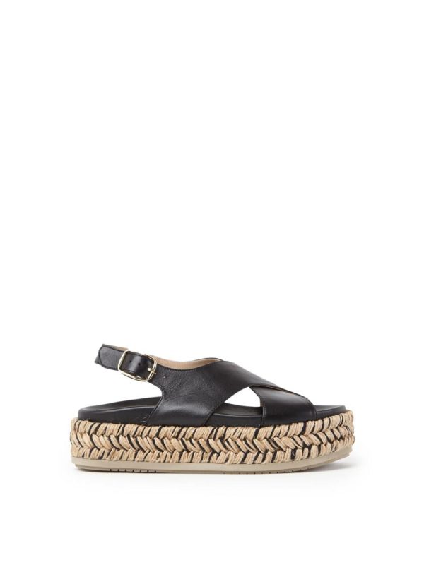 Fusewear.shop3568225f4c 1