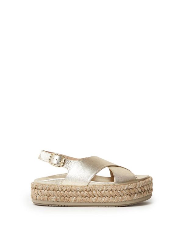 Fusewear.shop9d4cebe4f8 1